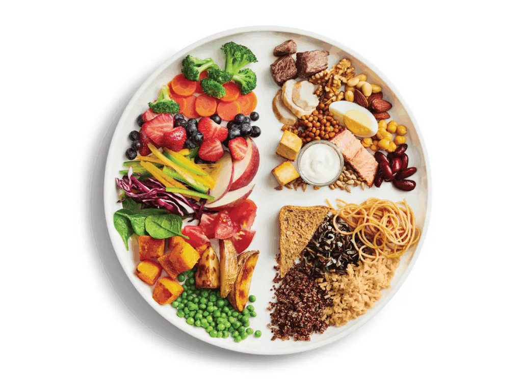 Canada Food Guide representation of a healthy diet